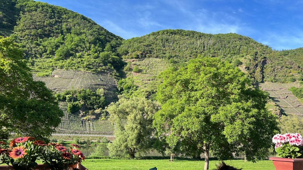 Hotel Zur Winzergenossenschaft แอนสท์ ภายนอก รูปภาพ