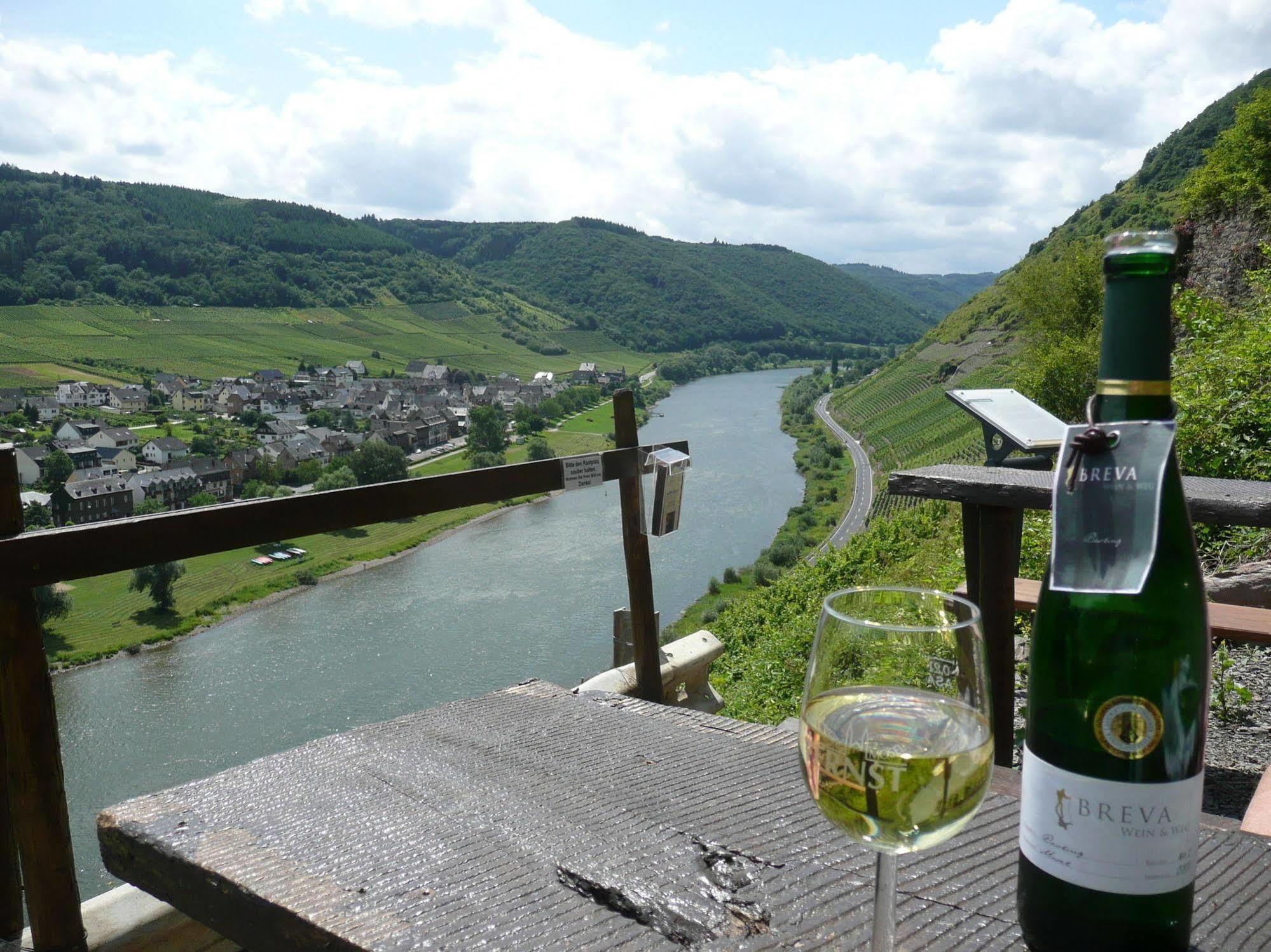 Hotel Zur Winzergenossenschaft แอนสท์ ภายนอก รูปภาพ