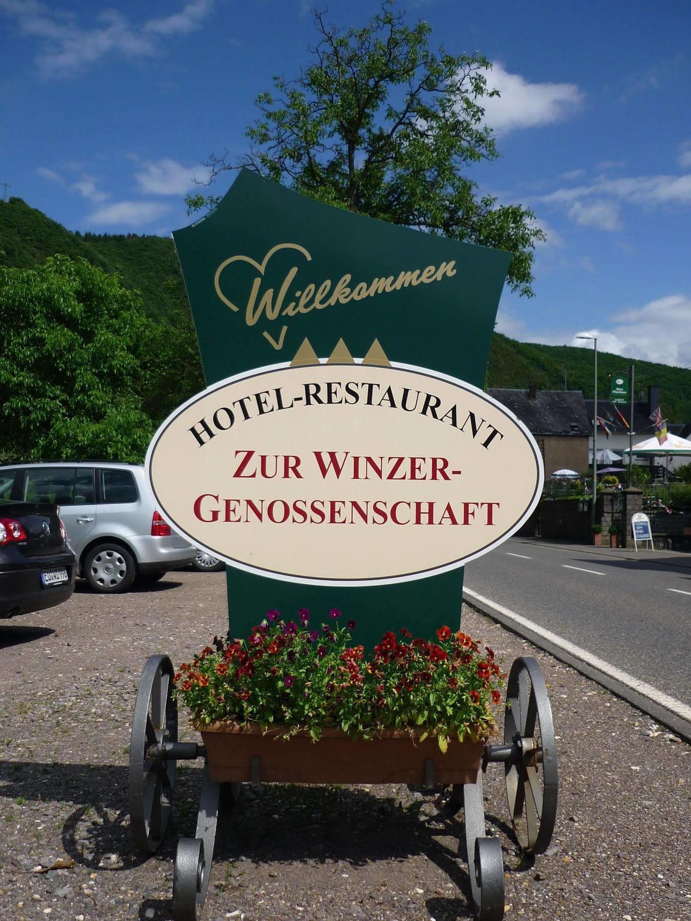 Hotel Zur Winzergenossenschaft แอนสท์ ภายนอก รูปภาพ